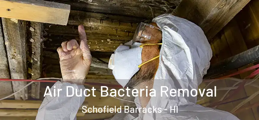  Air Duct Bacteria Removal Schofield Barracks - HI