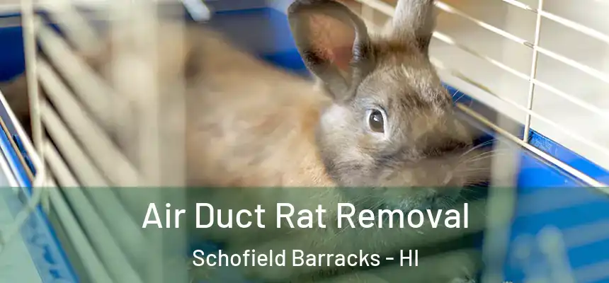  Air Duct Rat Removal Schofield Barracks - HI