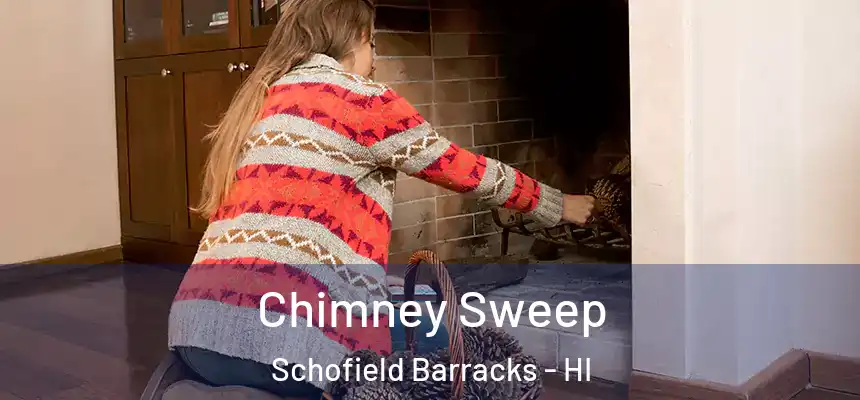  Chimney Sweep Schofield Barracks - HI
