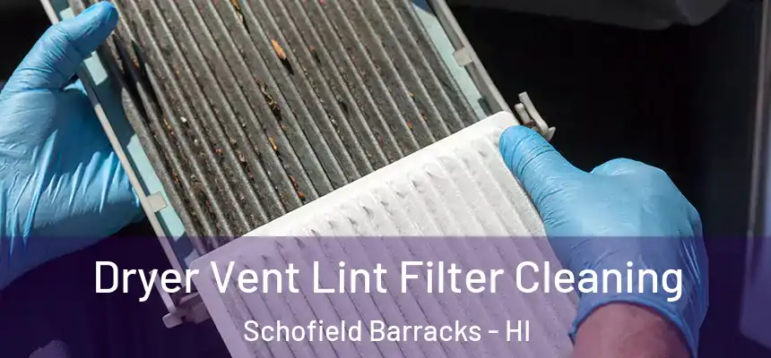  Dryer Vent Lint Filter Cleaning Schofield Barracks - HI