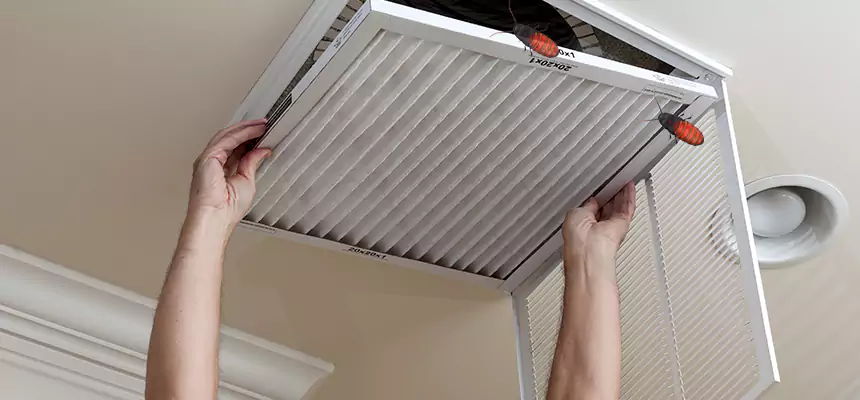 Preventive Cockroach-Proofing for Ducts in Schofield Barracks
