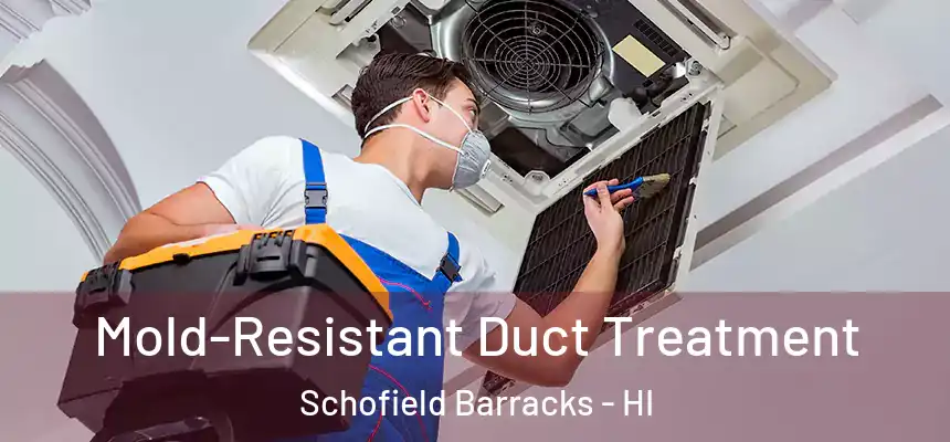  Mold-Resistant Duct Treatment Schofield Barracks - HI