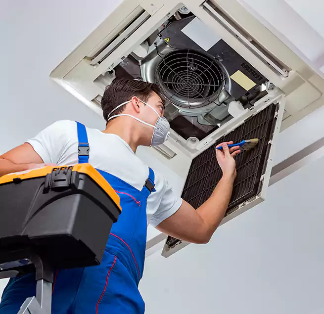 Why Homeowners & Businesses Trust Us in Schofield Barracks, HI