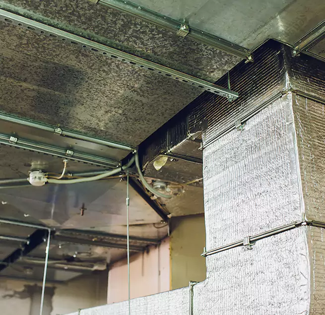 Why Homeowners & Businesses Trust Us in Schofield Barracks, HI?